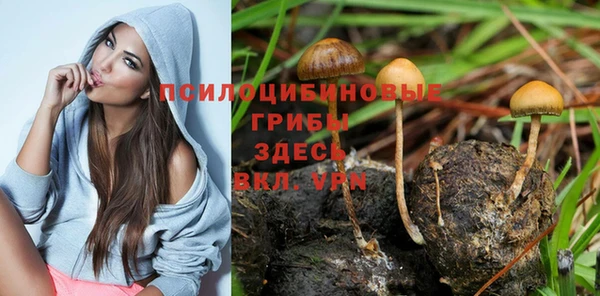 spice Липки