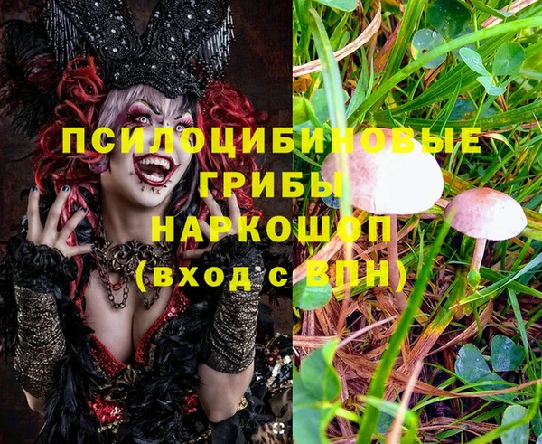 синтетический гашиш Пролетарск