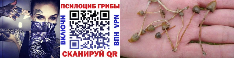 где можно купить наркотик маркетплейс какой сайт Псилоцибиновые грибы мухоморы Красновишерск МЕГА рабочий сайт